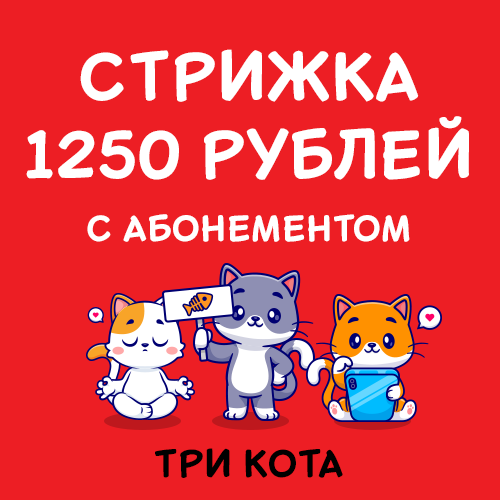 500x500px_3
