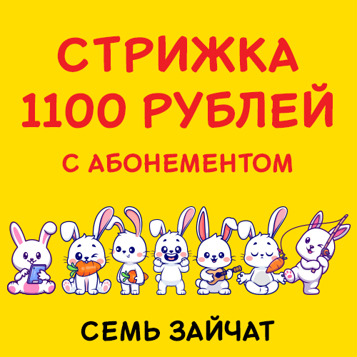 500x500px_7